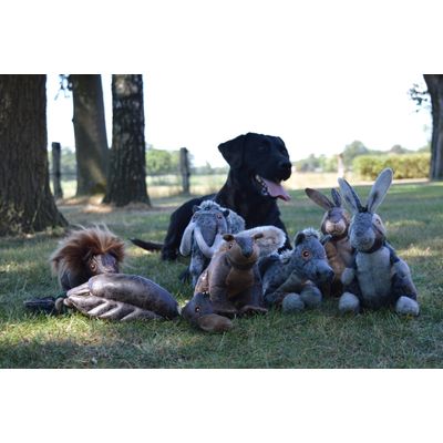 Foto van Elegant Horse Bruin