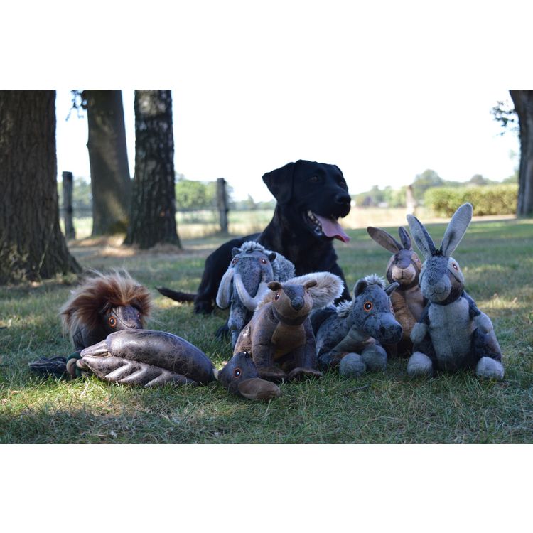 Foto van Elegant Horse Bruin