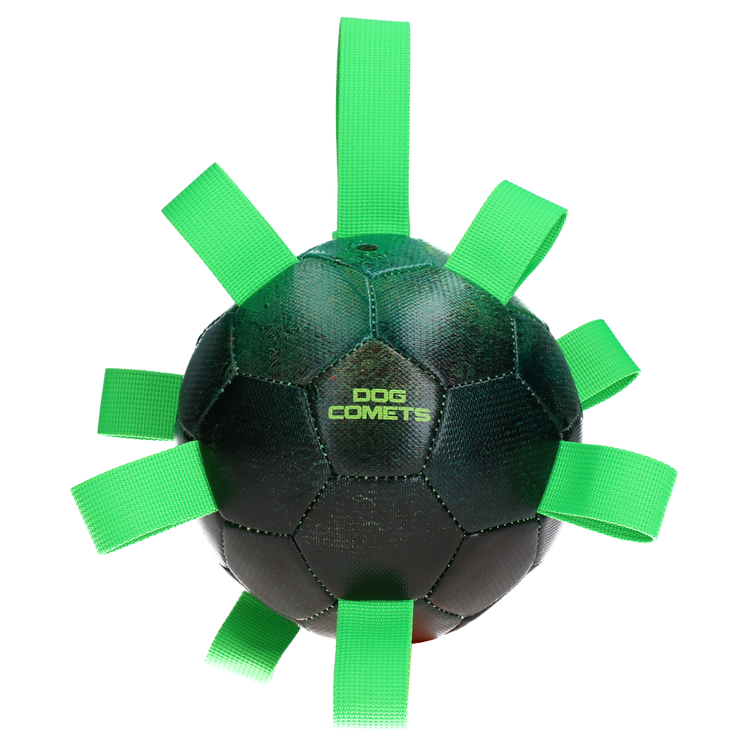 Foto van Dog Comets Hypernova Groen