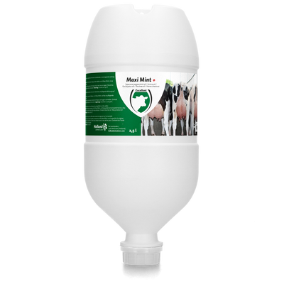 Foto van Maxi Mint Plus Hangtube