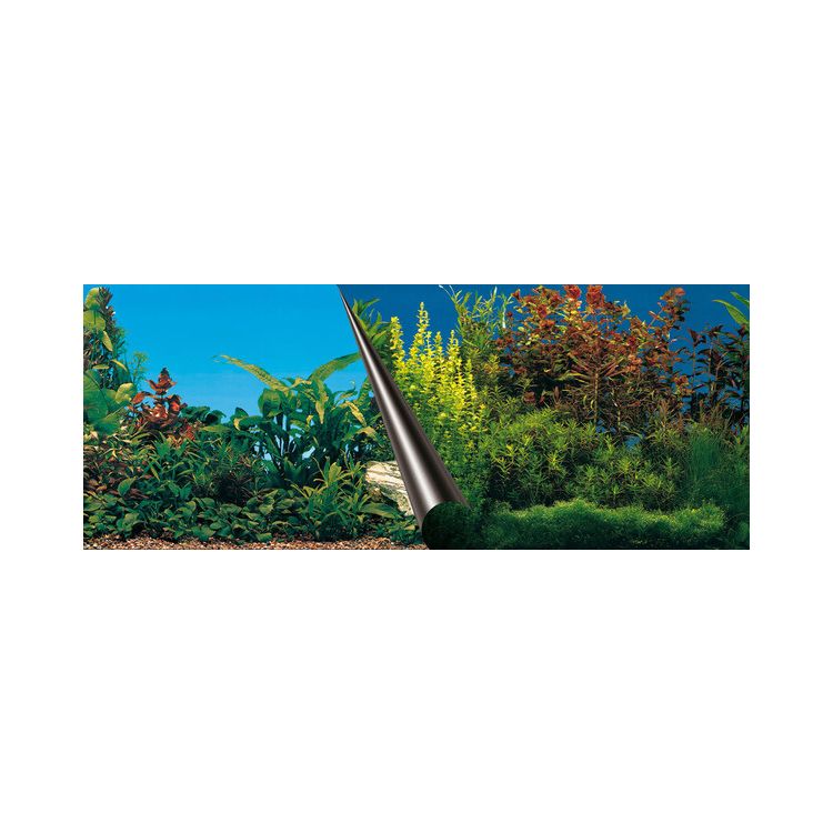 Foto van Europet Bernina Achterwandposter beauty + sea