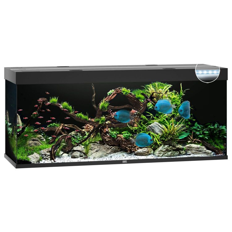 Foto van Juwel Aquarium Rio 450 LED