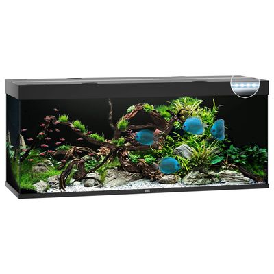Juwel Aquarium Rio 450 LED Foto van Juwel Aquarium Rio 450 LED