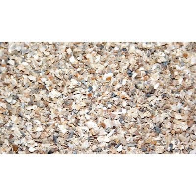 Thijssen Oester/schelpengrit Foto van Thijssen Oester/schelpengrit