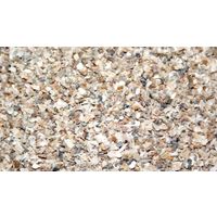 Thijssen Oester/schelpengrit