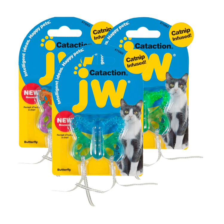 Foto van JW Cataction Butterfly