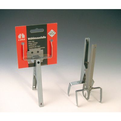 Foto van Luna Mollenklem