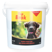Topbrok Excellent Puppy