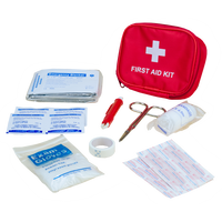 Pawise First Aid Kit