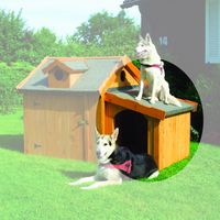 Aanbouw voor hondenhok 