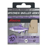 Albatros Hakenboekje Voorn 10