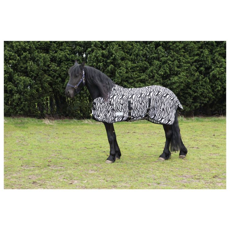 Waldhausen Vliegendeken Zebra Foto van Waldhausen Vliegendeken Zebra