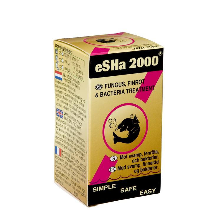 Foto van Esha Esha 2000