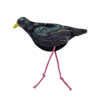 Wild Life Cat Starling (Spreeuw)