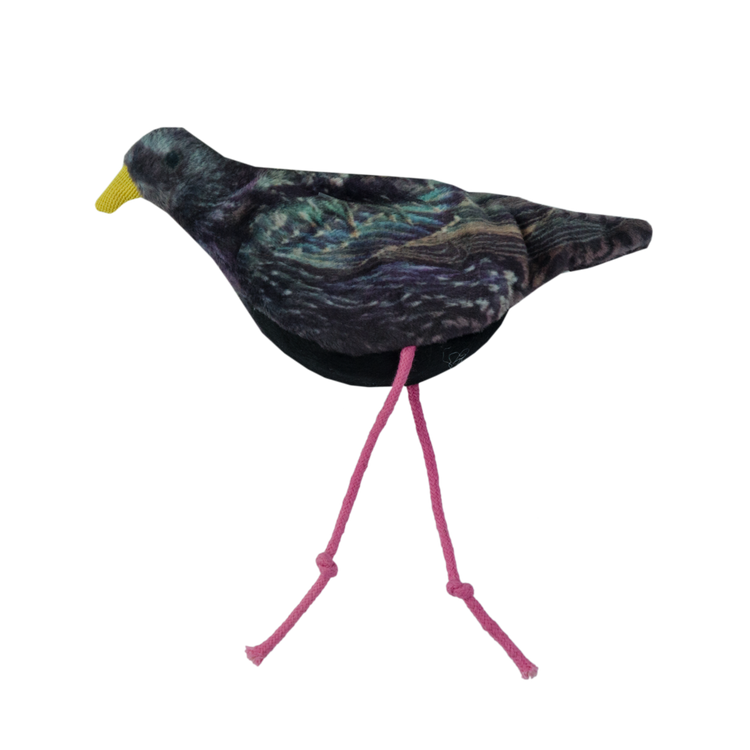 Foto van Wild Life Cat Starling (Spreeuw)