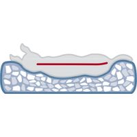 Trixie Vital mand Noah hoekig