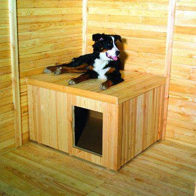 Hondenhok voor hondenkennel promadino Foto van Hondenhok voor hondenkennel promadino