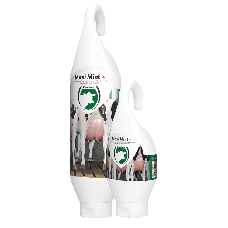 Foto van Maxi Mint Plus Sta- / Hangtube