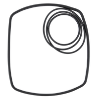 Eheim Dichtingsring prof. III 2080