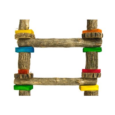 Foto van Birrdeeez Parrot Ladder 7 step All Wood