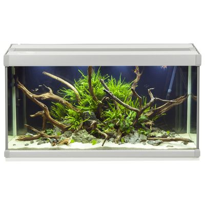 Foto van AkvaStabil Family aquarium