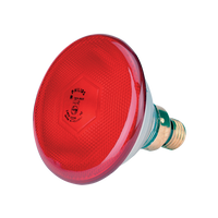 Lamp 100 W rood Philips spaar