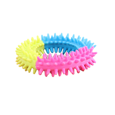 Foto van Rainbow World - Coronule M