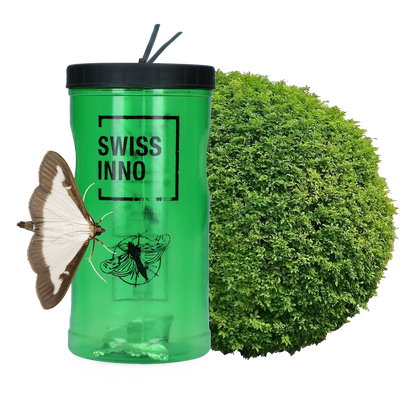 Foto van Buxusmotval incl. Lokstof