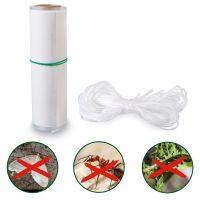 Boomlijmring 5m - Bescherming tegen mieren en wintervlinders - Gardigo