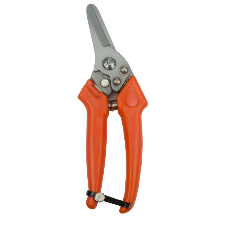 Foto van Claw Clipper Sheep Dutch