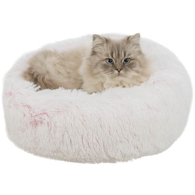 Trixie Mand Harvey rond Foto van Trixie Mand Harvey rond