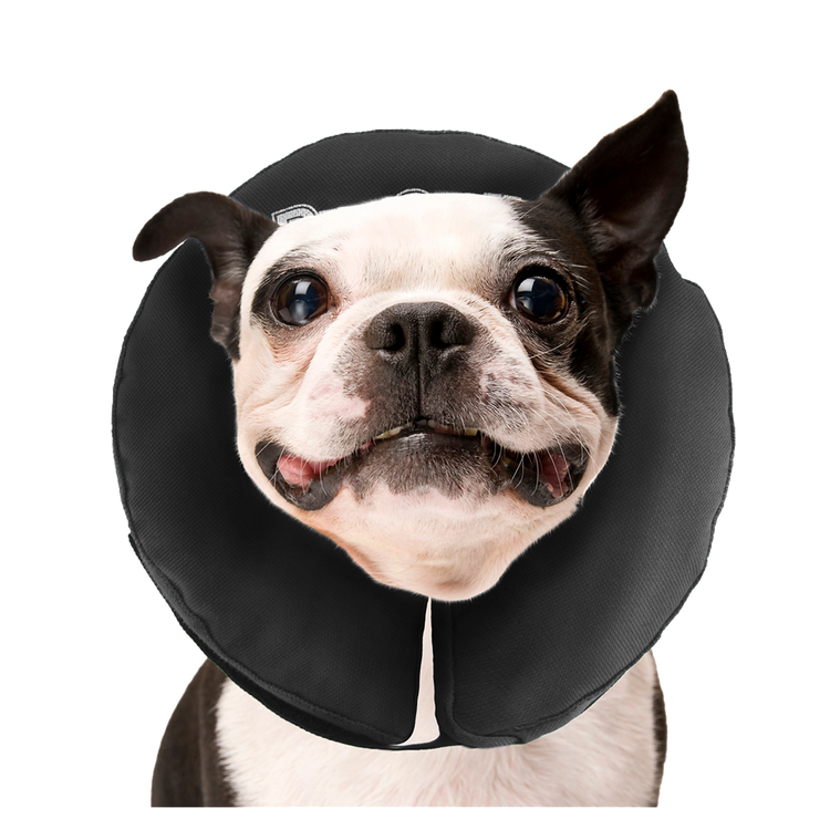 Foto van Zenpet ProCollar M