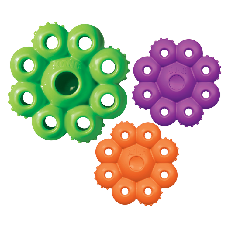Foto van KONG Quest Star Pods Small