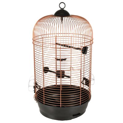 Foto van Flamingo Vogelkooi Sanna