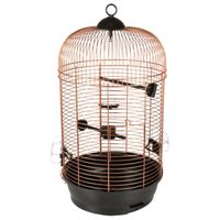 Flamingo Vogelkooi Sanna