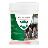 Maxi Teat canula 55 mm plastic luer