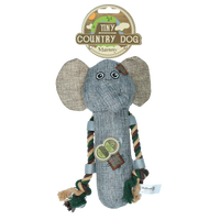 Country Dog Tiny Manny