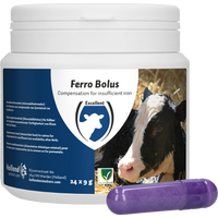 Ferro Bolus