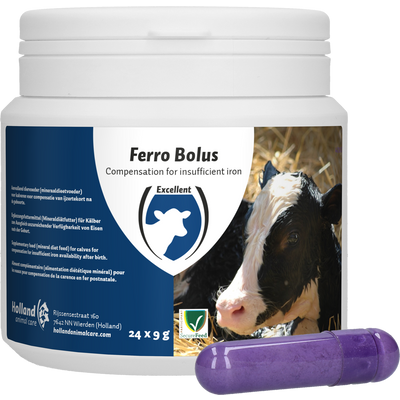 Foto van Ferro Bolus