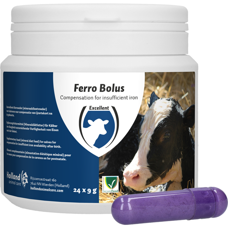 Foto van Ferro Bolus