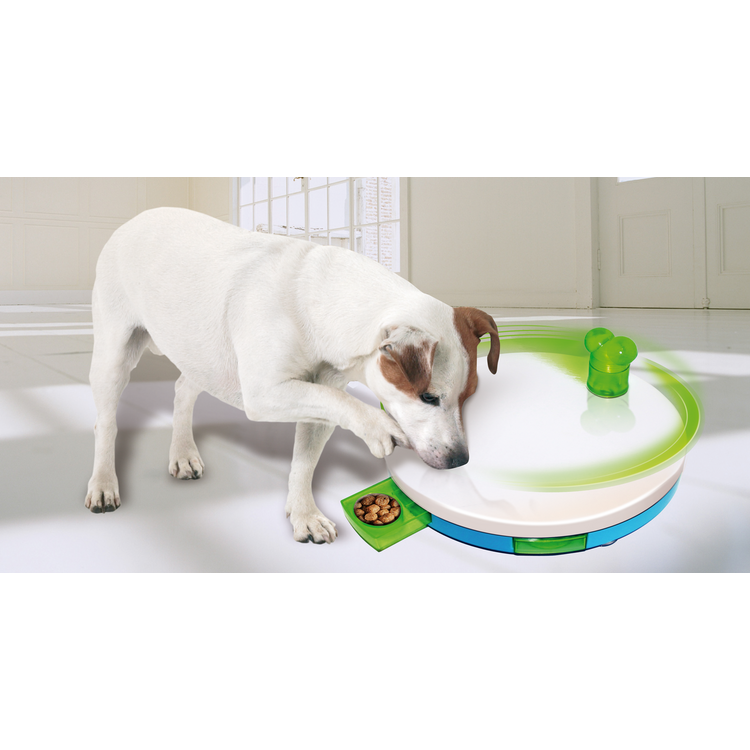 Foto van Dog Training Toy