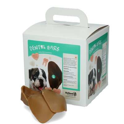 Foto van Dental Ears Large 30st