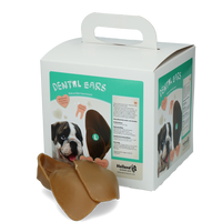 Dental Ears Large 30st