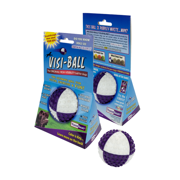 Foto van VisionSmart Visi-Ball wit/paars