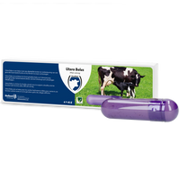 Utero Bolus (Nageboorte)