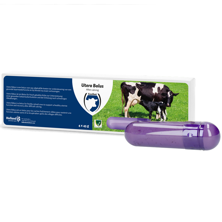 Foto van Utero Bolus (Nageboorte)