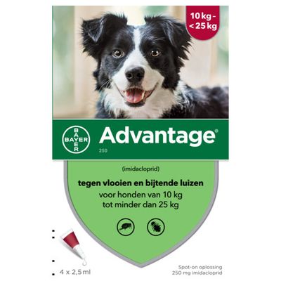 Foto van Advantage Hond 250
