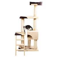 Trixie Krabpaal Montoro