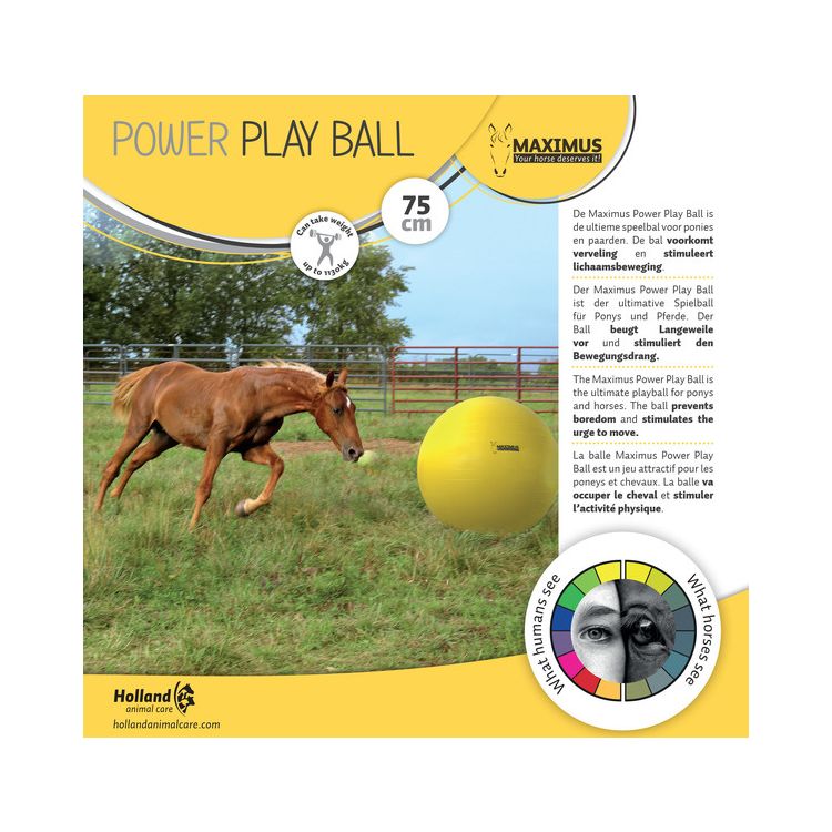 Maximus Maximus power play ball Foto van Maximus Maximus power play ball