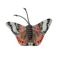 Wild Life Cat Red Admiral Butterfly (Admiraalvlinder)